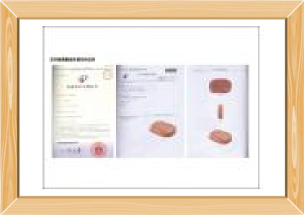 安井閩南香肉外觀專利證書(shū)