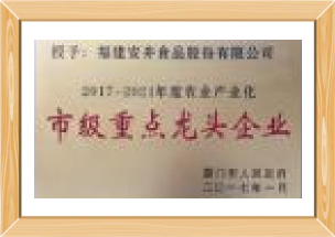 市級(jí)重點(diǎn)龍頭企業(yè)